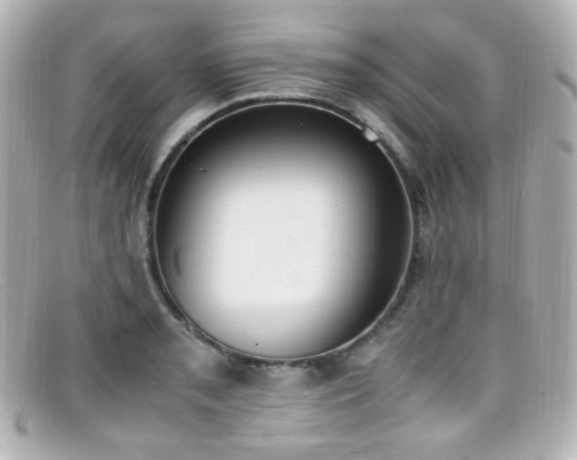 X0000099401085200805081529