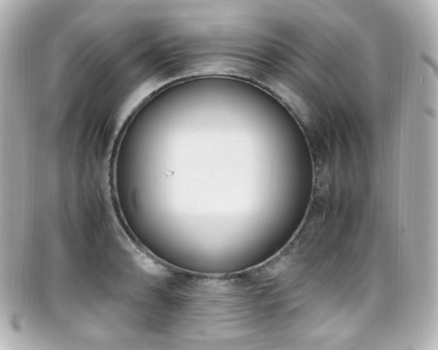 X0000099401086200805081529