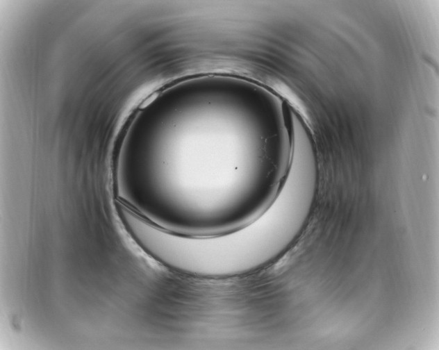 X0000099401088200805081529