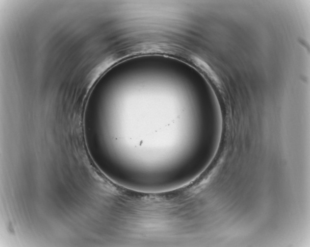 X0000099401089200805081529