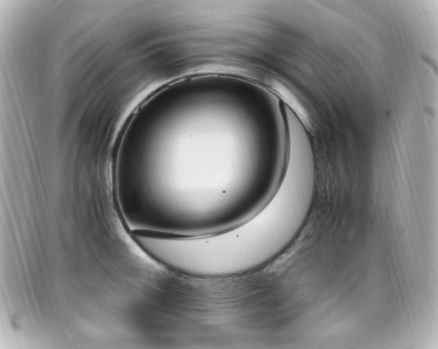 X0000099401092200805081528