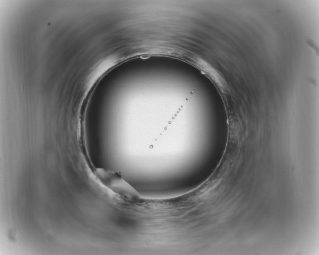 X0000099401095200805081528