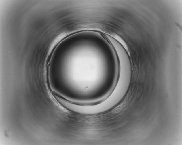 X0000099401096200805081528