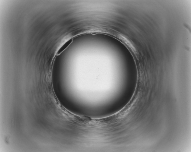 X0000099401097200805081528