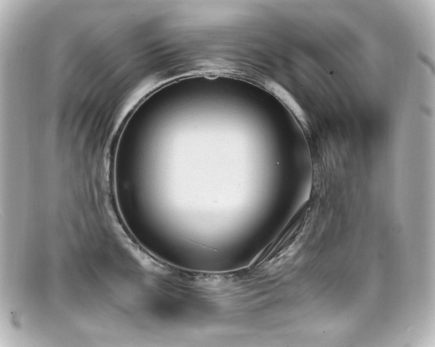 X0000099401099200805081528