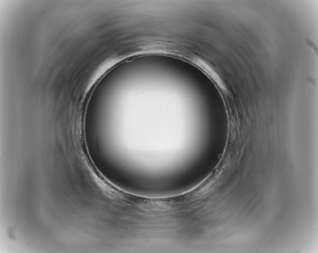 X0000099401101200805081528