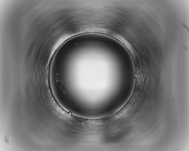 X0000099401102200805081528