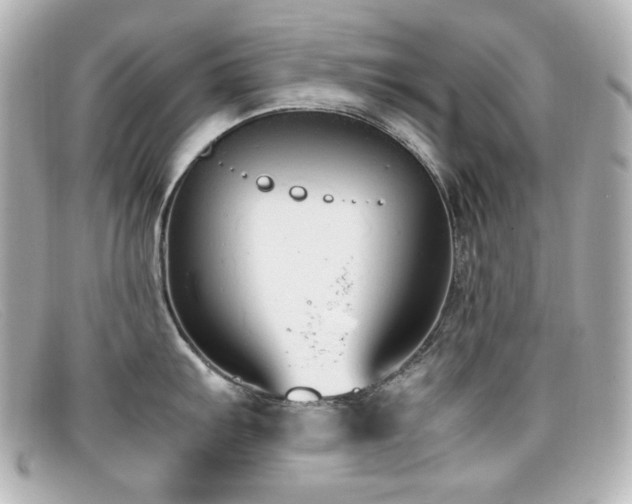 X0000099401103200805081528