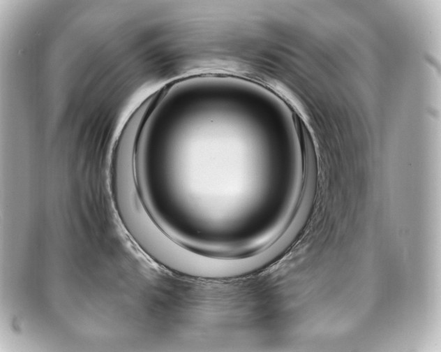 X0000099401104200805081528
