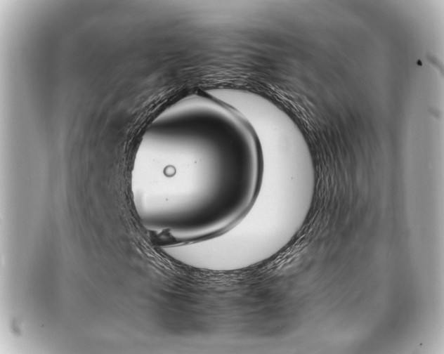 X0000099401105200805081528