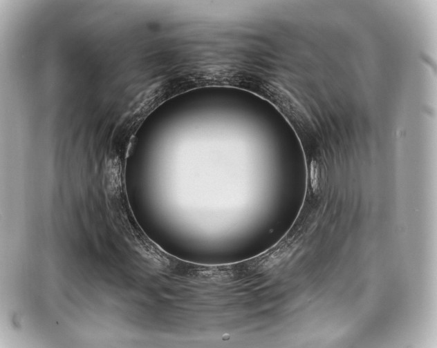 X0000099401107200805081528