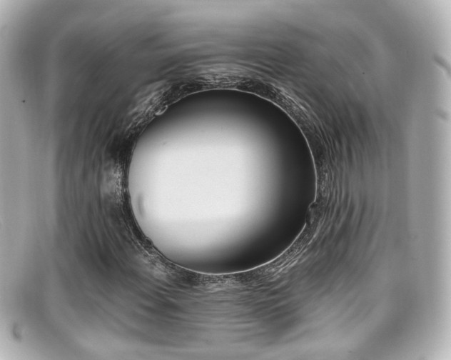 X0000099401108200805081528