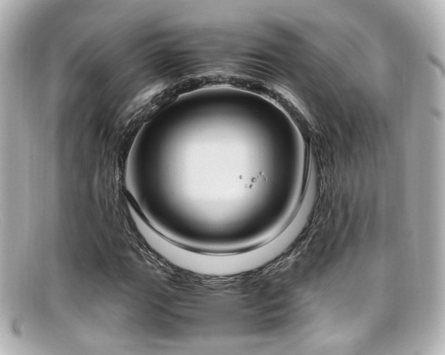 X0000099401111200805081528