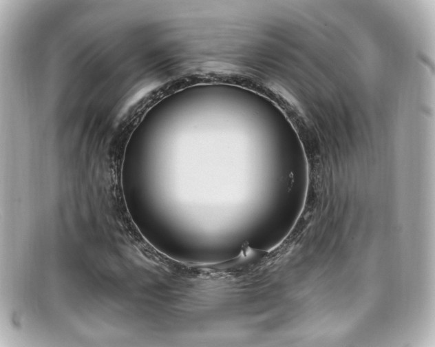 X0000099401112200805081528