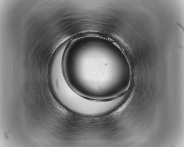 X0000099401113200805081528