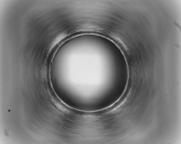 X0000099401114200805081528
