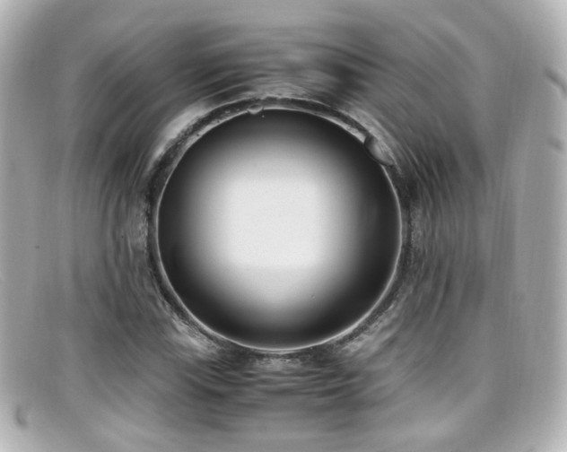 X0000099401115200805081528