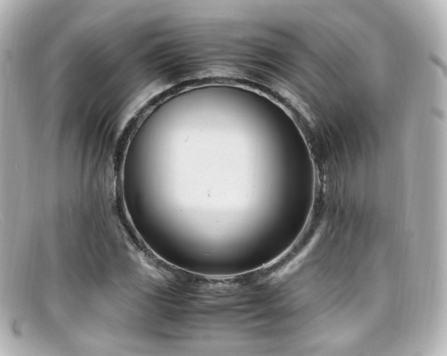 X0000099401117200805081528