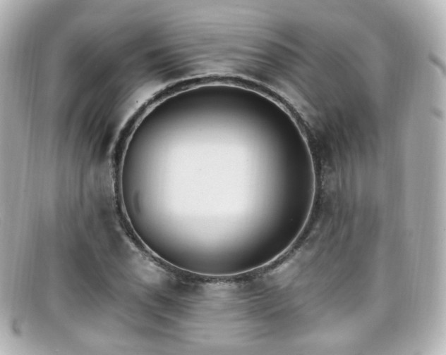 X0000099401118200805081528