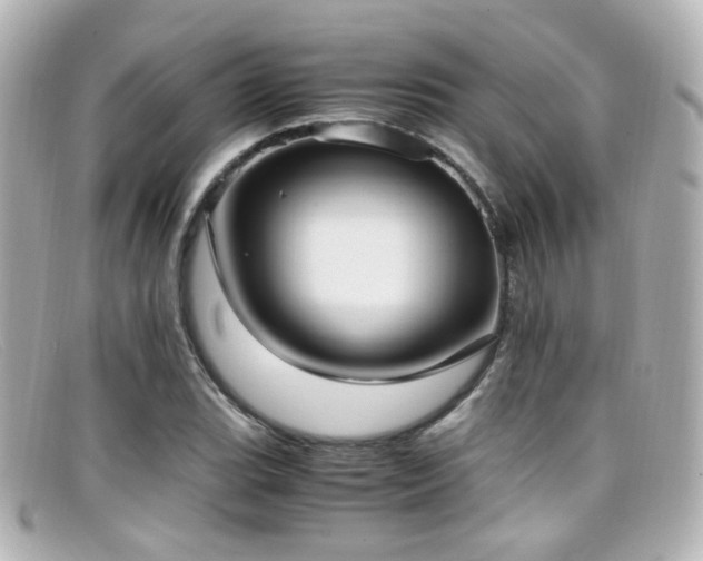 X0000099401119200805081528