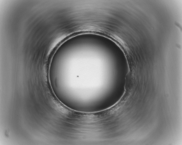 X0000099401120200805081528