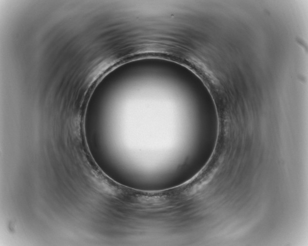 X0000099401121200805081528