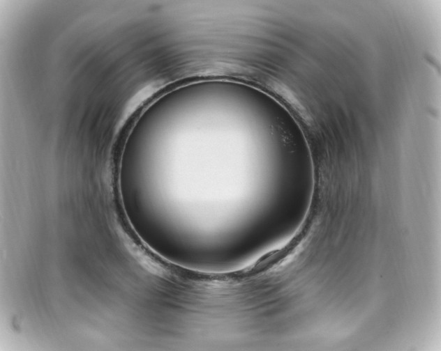 X0000099401122200805081528