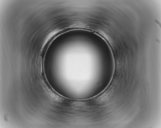 X0000099401123200805081528
