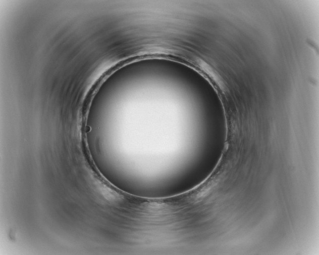 X0000099401124200805081528