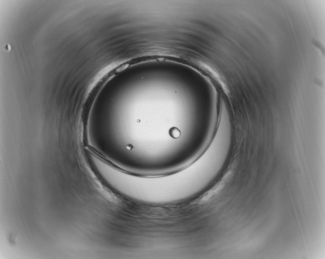 X0000099401125200805081528