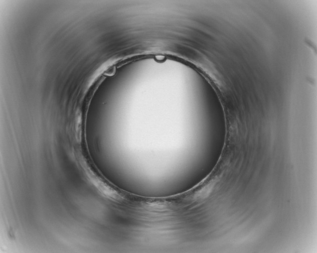 X0000099401126200805081528