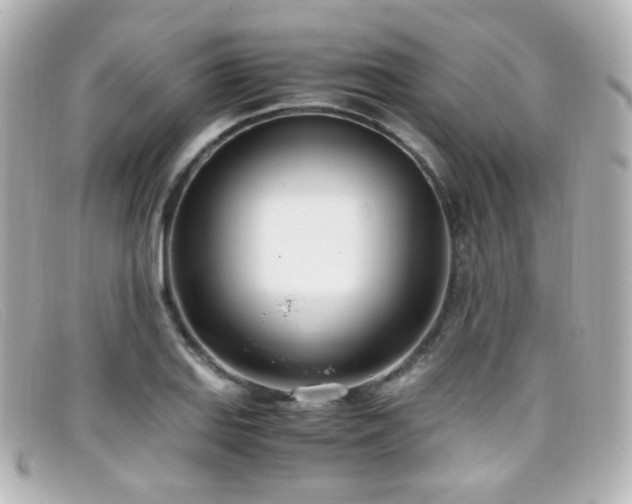 X0000099401127200805081528