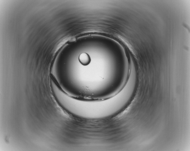 X0000099401129200805081528