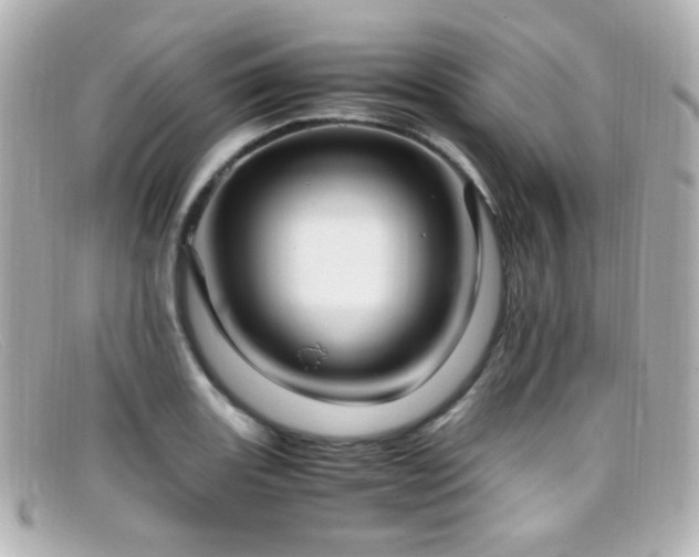 X0000099401131200805081528
