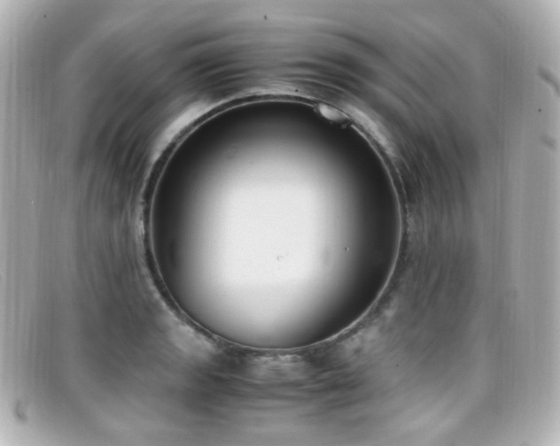 X0000099401133200805081528