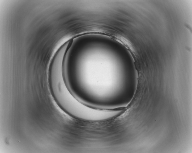 X0000099401135200805081528