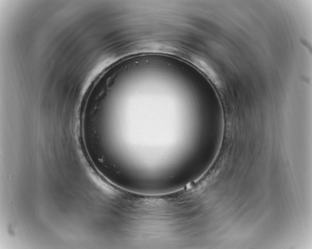 X0000099401136200805081528
