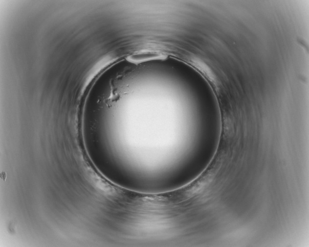 X0000099401138200805081528