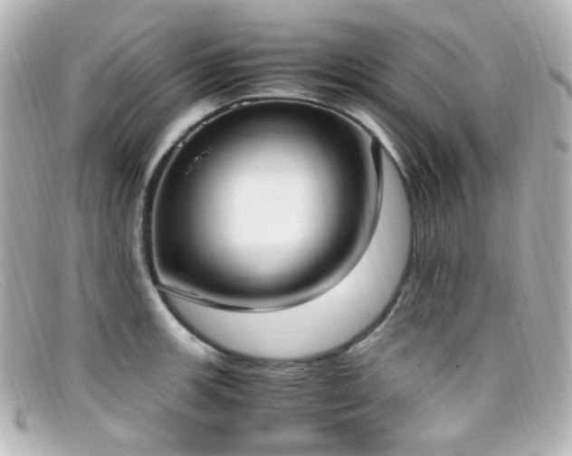 X0000099401139200805081528