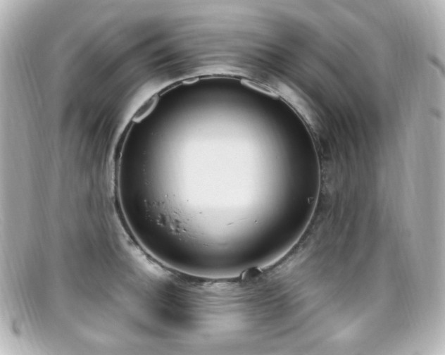 X0000099401140200805081528