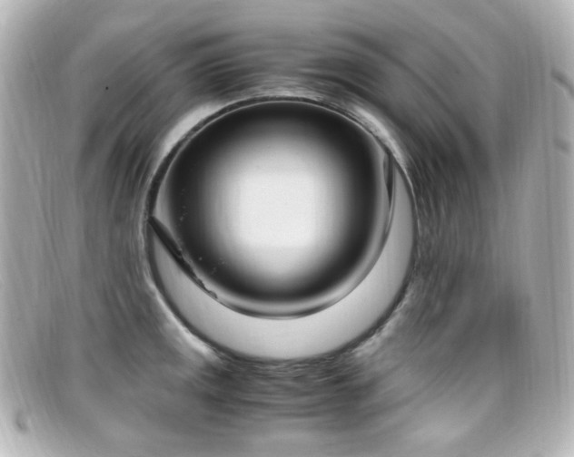 X0000099401141200805081528