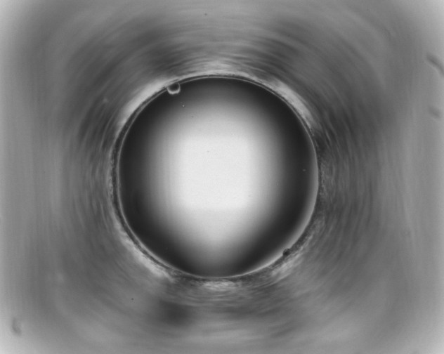 X0000099401142200805081528