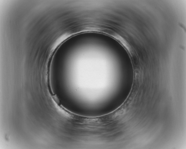 X0000099401143200805081528