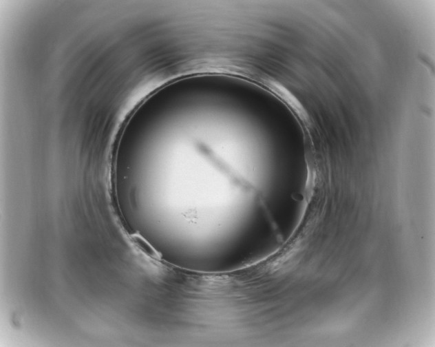 X0000099401144200805081528