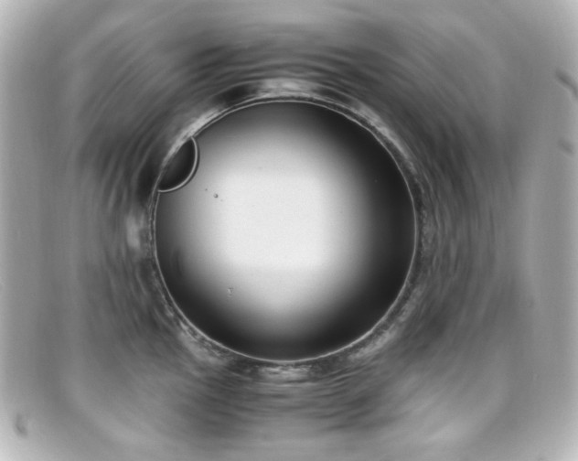 X0000099401145200805081528