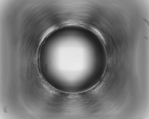 X0000099401146200805081528