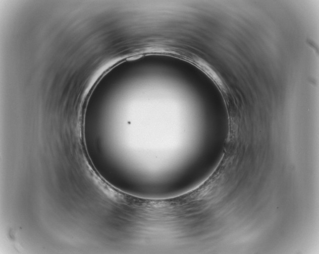 X0000099401148200805081528