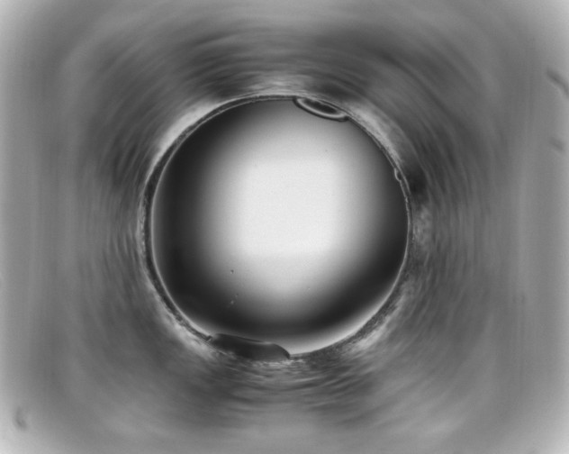 X0000099401149200805081528