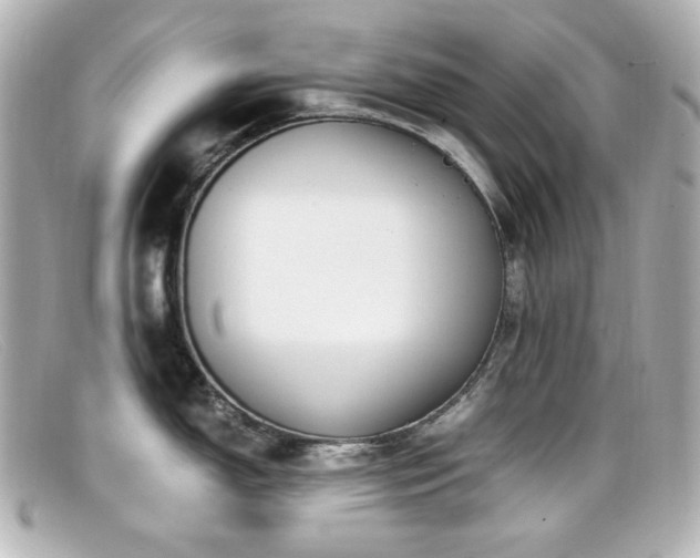 X0000099401150200805081528