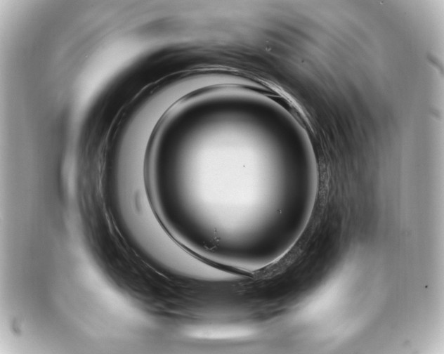 X0000099401151200805081528